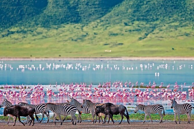 lake-nakuru-national-park-gates